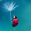 Photo de Victorine DEUTSCH